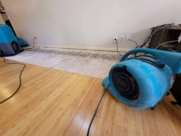 Professional Flood Damage Cleanup technician working in Wills Point, TX